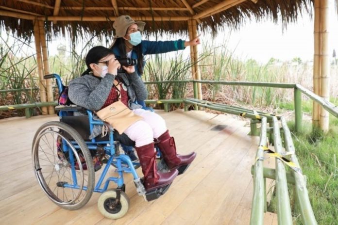 Convocan a participar en avistamiento de aves en los Pantanos de Villa. Foto: Municipalidad de Lima