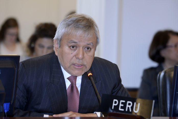 El embajador Luis Chuquihuara impulsó un diálogo entre los embajadores presentes con el fin de compartir información sobre propuestas para promover la protección de los derechos humanos. (Foto: andina.pe)