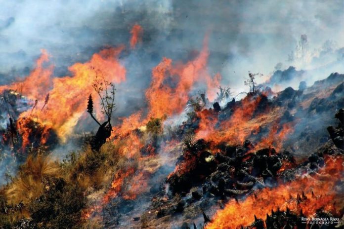 Los incendios forestales ocasionan ingentes pérdidas materiales relacionadas con la magnitud y el impacto sobre predios y bienes muebles. Foto: Ronny Bernaola.