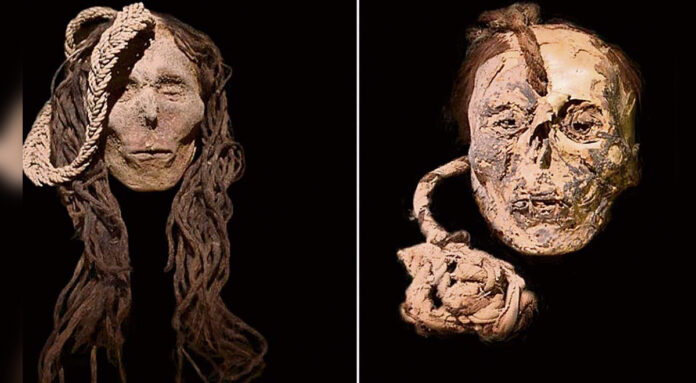 La momia de un niño de la Cultura Nazca, revela el uso de plantas alucinógenas.