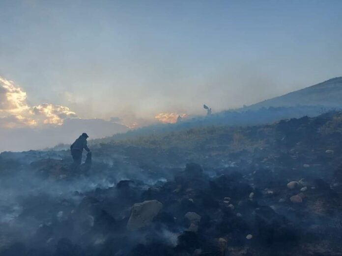 Incendio forestal en la región Puno genera estragos en dicho territorio