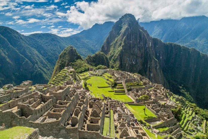 Descubren nuevas especies en el Santuario Histórico de Machu Picchu.