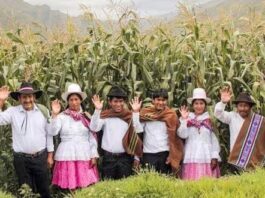 El empleo en el sector agropecuario en la región cusqueña representa el 39.5% de puestos de trabajo. (Foto: Correo)