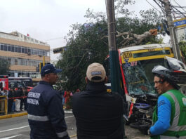 El incidente, tanto el conductor como el copiloto del camión fueron llevados a una clínica en Pueblo Libre, donde se confirmó que están fuera de peligro, según informaron autoridades municipales.