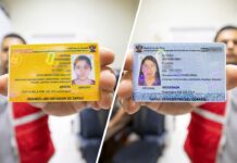 Descuentos a eventos recreativos para personas con carné Conadis