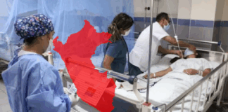Fiebre amarilla: Sube a 12 el número de fallecidos y se reportan 37 casos confirmados en el país Foto: Infobae