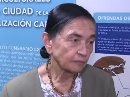 Foto: Tv Perú