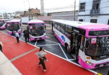 Callao incorpora 30 buses del corredor rosado para mejor conexión con Lima