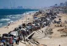 Preocupa a León XIV situación en “Tierra Santa” ocupada