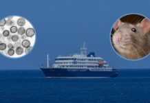 Al menos 3 fallecidos en crucero MV Hondius por Hantavirus